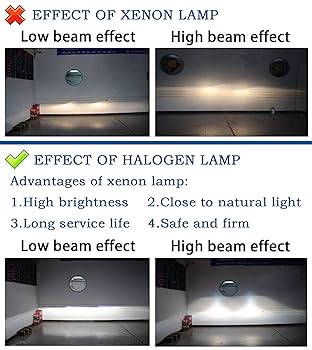 Amazon.com: TOJIO H6024 Super vision Halogen Sealed Beam